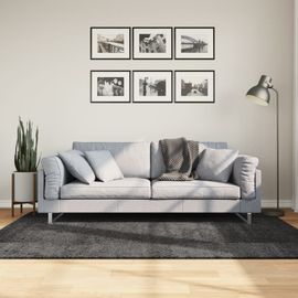 Vidaxl Tapis Shaggy Pamplona Poils Longs Moderne Anthracite 140x200 Cm