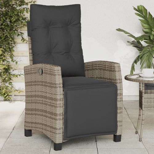 Vidaxl Chaise Inclinable De Jardin Et Repose-Pied Gris Résine Tressée