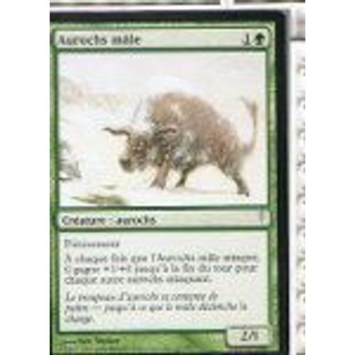 Aurochs Mâle  - Magic Mtg - Souffle Glaciaire 107 - C