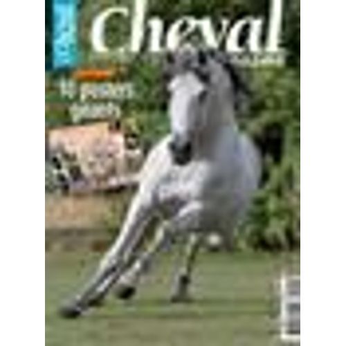 Cheval Magazine N° 452 : Cheval Magazine Juillet 2009 : Chevaux Agressifs : Un Faux Problème
