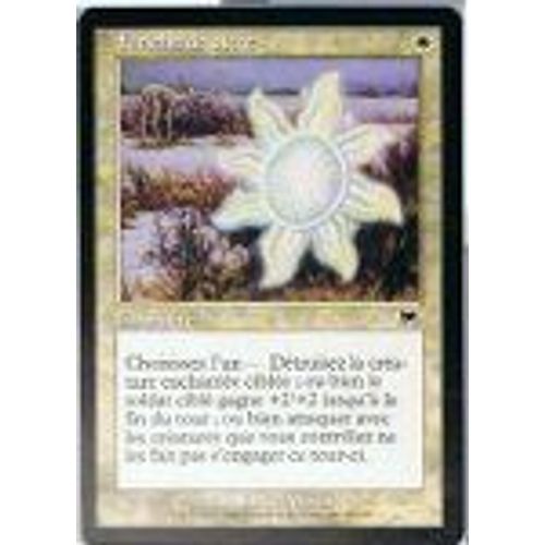 Foil Premium Fétiche De Piété  - Magic Mtg - Carnage 49 - C