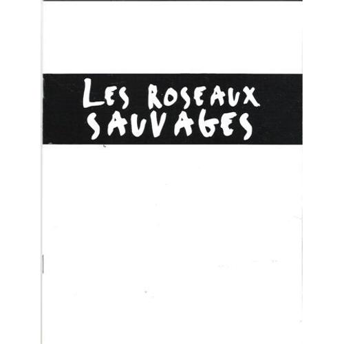 Les Roseaux Sauvages  N° 0 : Dossier De Presse Du Film D' André Téchiné Avec Elodie Bouchez, Gaël Morel, Stéphane Rideau, Jacques Nolot