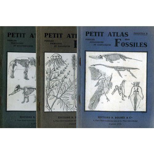 Petit Atlas Des Fossiles - 3 Tomes