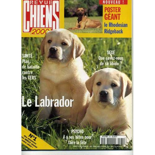 Revue Chiens 2000  N° 235 : Le Labrador