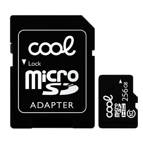 cool carte memoire micro sd 256gb