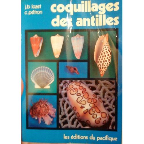 Coquillages Des Antilles