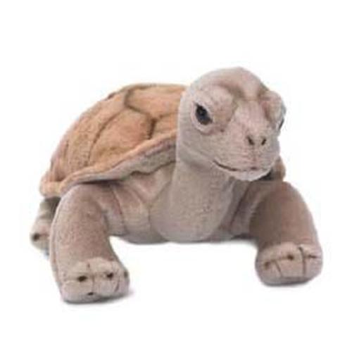 Peluche Wwf Tortue Terrestre 20 Cm (20 Cm)