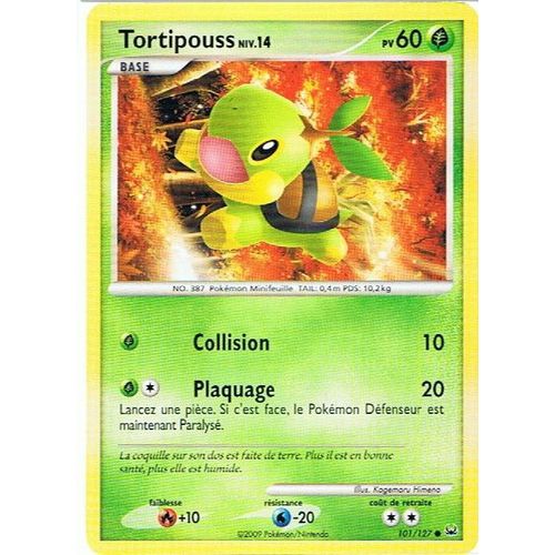 Tortipouss Niv.14 - Pokemon - Platine 101 - C