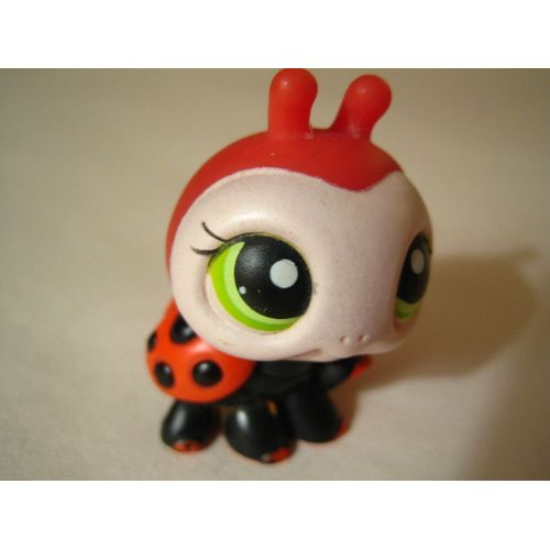 Petshop - Coccinelle