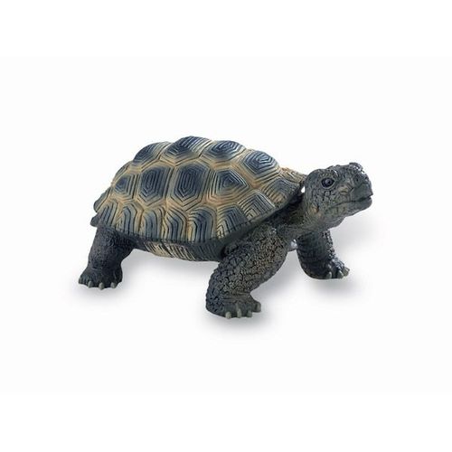 Tortue De Terre - Deluxe