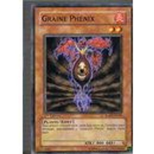 Graine Phénix - Commune - Vf - Rgbt