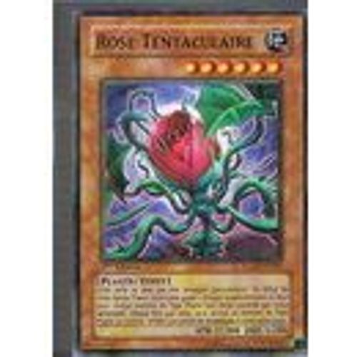Rose Tentaculaire - Commune - Vf - Rgbt