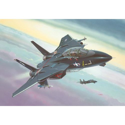 Maquettes  F-14a Black Tomcat-Revell