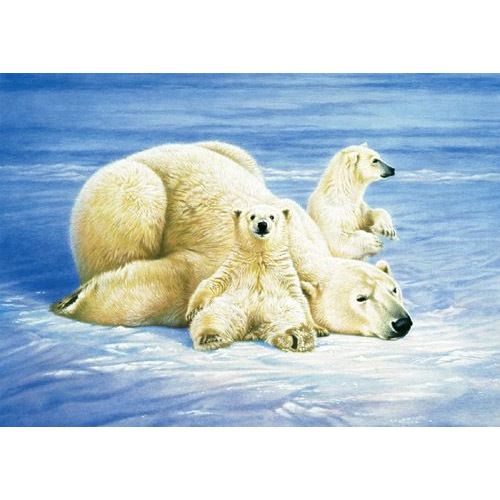 Puzzle 1000 Pièces - Naito : Ours Polaire