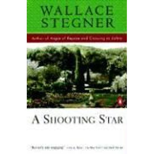 A Shooting Star
