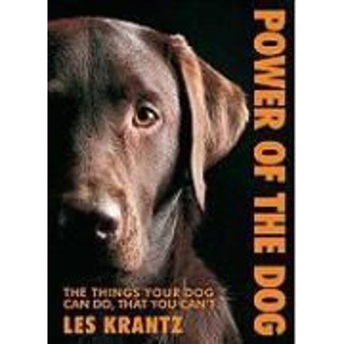 Power Of The Dog: Things Your Dog Can Do That You Can't