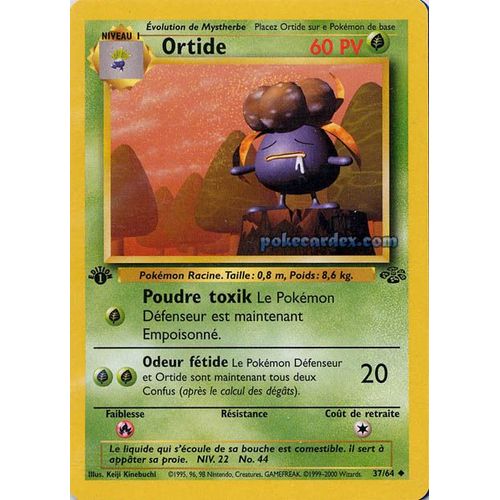 Ortide 60pv - Jungle - 37/64