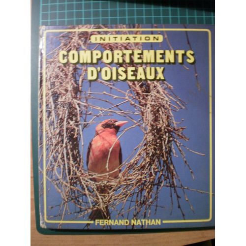 Initiation - Comportements D'oiseaux