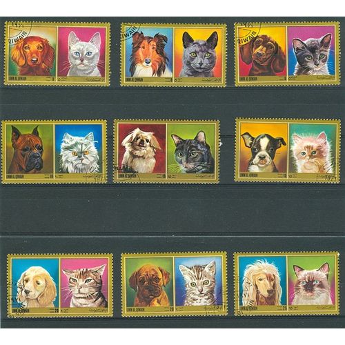 Umm Al Qiwain - Chats & Chiens - 1971.