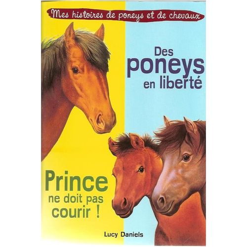 Des Poneys En Liberté  -  Prince Ne Doit Pas Courir