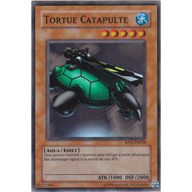 Tortue Catapulte Rp01 Fr038