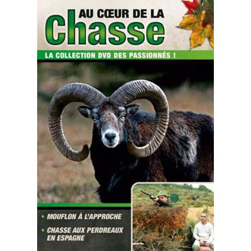 Au Coeur De La Chasse Vol 10 Mouflon À L' Approche - Chasse Aux Perdreaux En Espagne