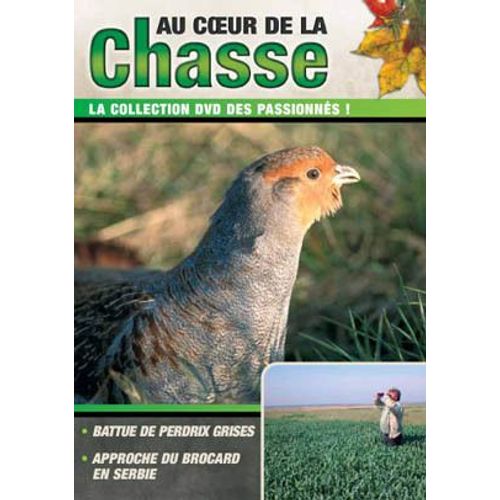 Au Coeur De La Chasse Vol  14 Battue De Perdrix Grises / Approche Du Brocard En Serbie