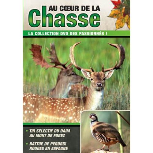 Au Coeur De La Chasse Vol 17 Tri Selectif Du Daim Au Mont De Forez / Battue De Perdrix Rouges En Espagne
