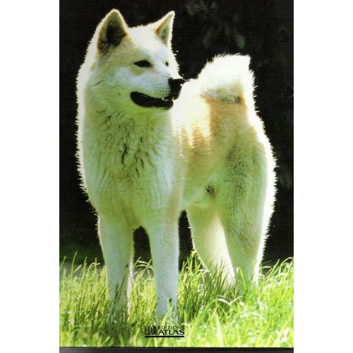 Mon Compagnon Le Chien. Volume 1 De Affenpinscher A Barzoi