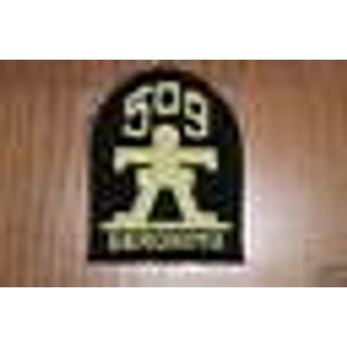 Insigne Tissu D'epaule De La 509 Eme Regiment De Parachutiste De La 101 Eme Airborne Division (Geronimo) Ww2