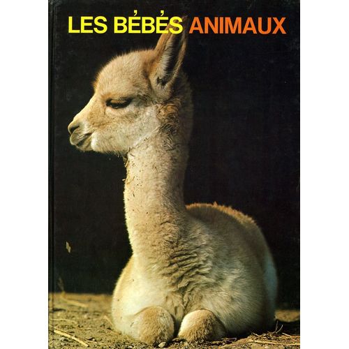 Les Bébés Animaux. L'amour Chez Les Animaux