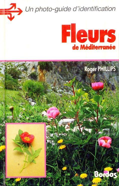 Fleurs de Méditerranée