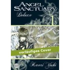 Angel Sanctuary Deluxe 01
