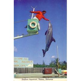 Nassau , Bahamas , Seafloor Aquarium , 1982