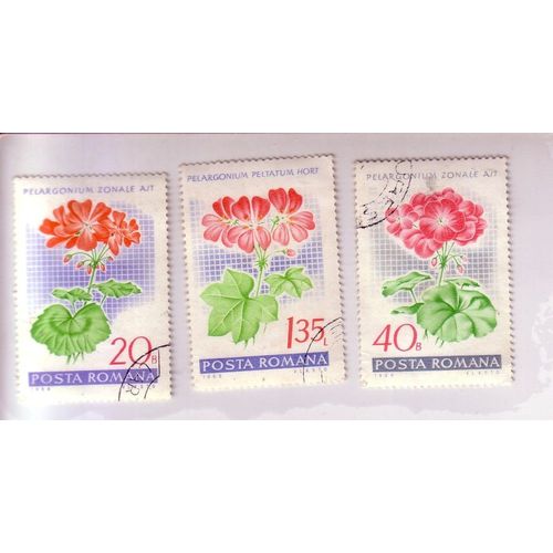 Pélargonium  , Lot De 3 Timbres , Roumanie