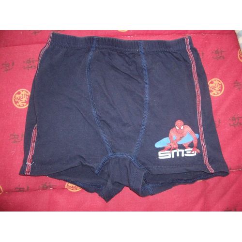Boxer Spiderman