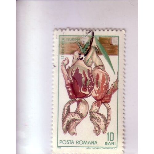 St Anhopea Tigrina , Roumanie , Timbre De 1965 , Thème Fleurs