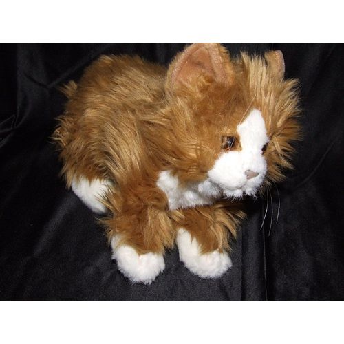 Chat Anima Doudou Peluche Marron Blanc Beige 33 Cm