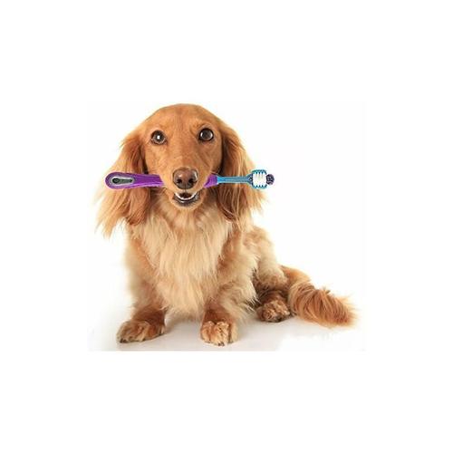 Brosse ¿¿ Dents Pour Animaux De Compagnie, Brosse ¿¿ Dents ¿¿ Trois T¿ºtes Avec Poign¿¿E Antid¿¿Rapante, Nettoyage Des Dents Pour Chiens Et Chats (Violet)