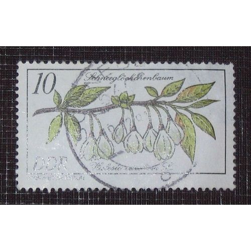 Allemagne Rda Ddr N° 2231 Oblitéré, 10p « Halesia Carolina, Arbres Et Arbustes Rares De L'arboretum De Berlin  »