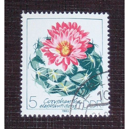 Allemagne Rda Ddr N° 2445 Oblitéré, 5p « Culture Des Cactées »