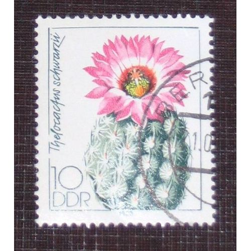 Allemagne Rda Ddr N° 2446 Oblitéré, 10p « Culture Des Cactées »