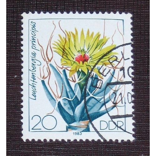 Allemagne Rda Ddr N° 2447 Oblitéré, 20p « Culture Des Cactées »