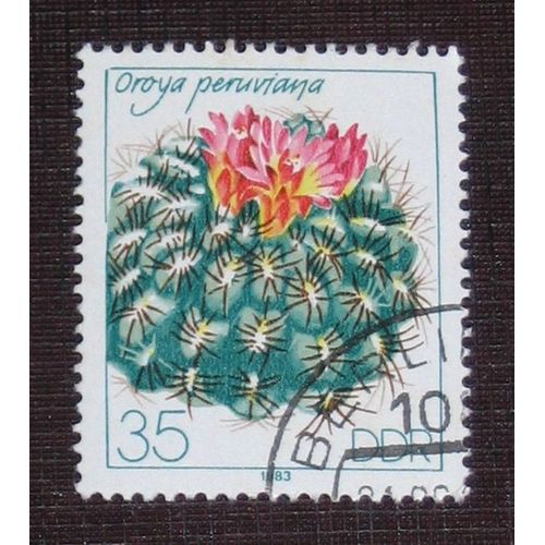 Allemagne Rda Ddr N° 2449 Oblitéré, 35p « Culture Des Cactées »