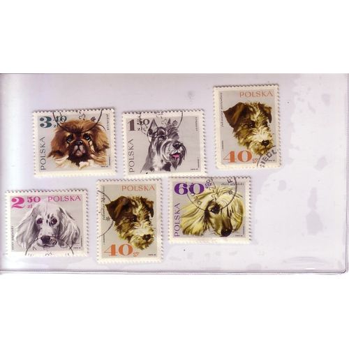 Chiens , Lot De 6 Timbres , Thème Chiens , Pologne , 1968