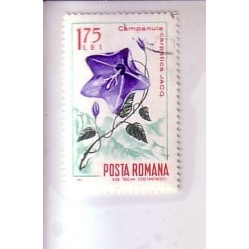 Campanule , Carpatica Jacq , Timbre De Roumanie 1967