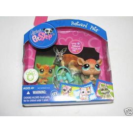 Petshop Kangourou Postcard #1437