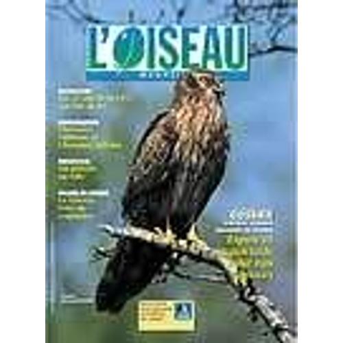 L'oiseau Magazine  N° 79 : Espoir Et Inquiétude Pour Nos Rapaces