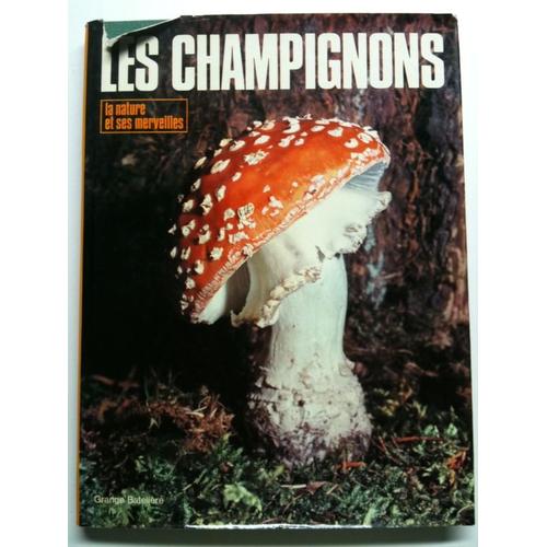 Les Champignons