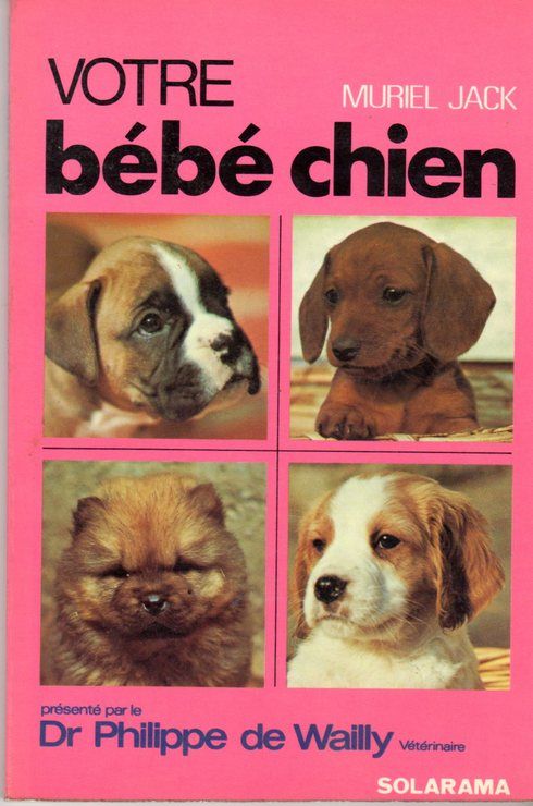 Votre Bebe Chien Rakuten